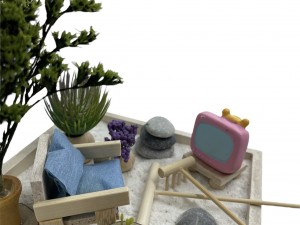 Minyatür Zen Bahçesi Yapım Kiti - Minyatür Zen Bahçesi Nasıl Yapılır?